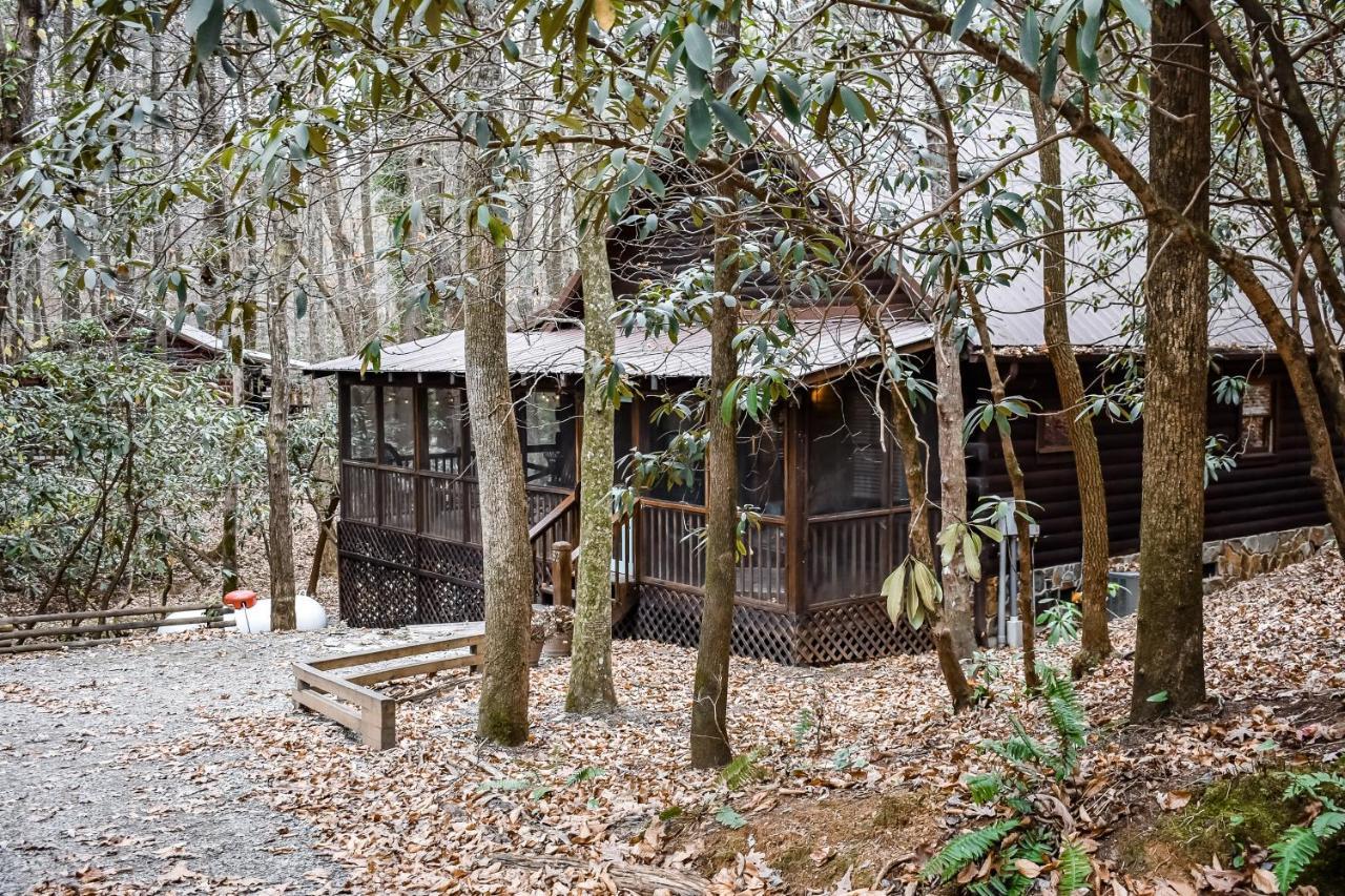 Villa Little Creek Blue Ridge Exterior foto